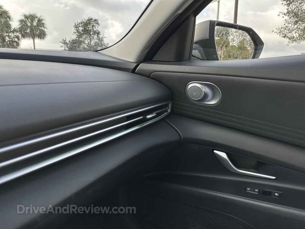 Dashboard and passenger side door panel